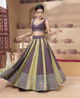 Sequins Embroidery Work Georgette Lehenga Choli